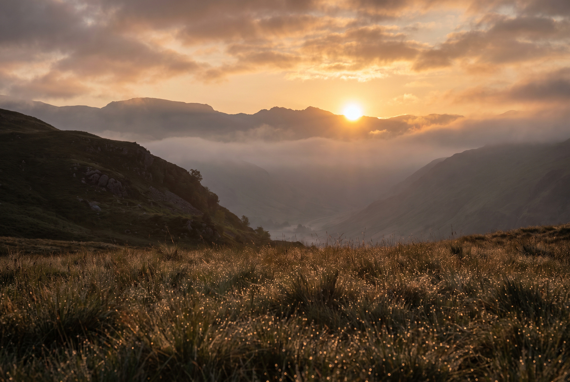 Backlit landscape, the same JPEG with an ISO 21496-1 gain map